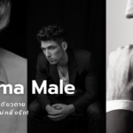 Sigma Male คืออะไร