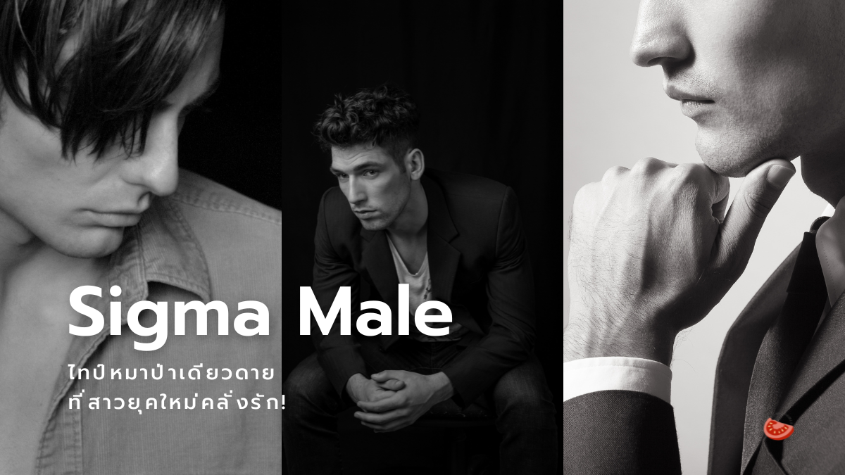 Sigma Male คืออะไร