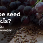 Grape seed ช่วยอะไร?