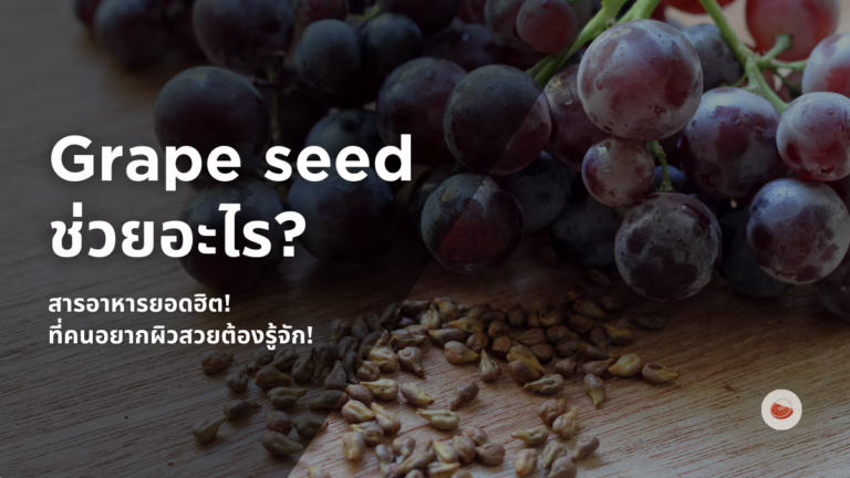 Grape seed ช่วยอะไร?